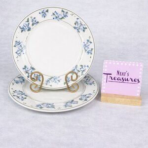 Sango SUMMERWIND Blue Floral Green Rings Oven Safe Ceramic Dinner Plates Set 2